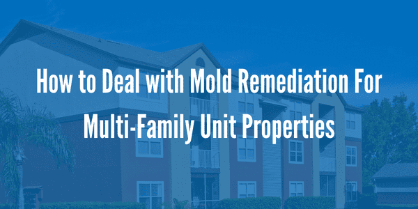How to Deal with Mold Remediation For Multi-Family Unit Properties