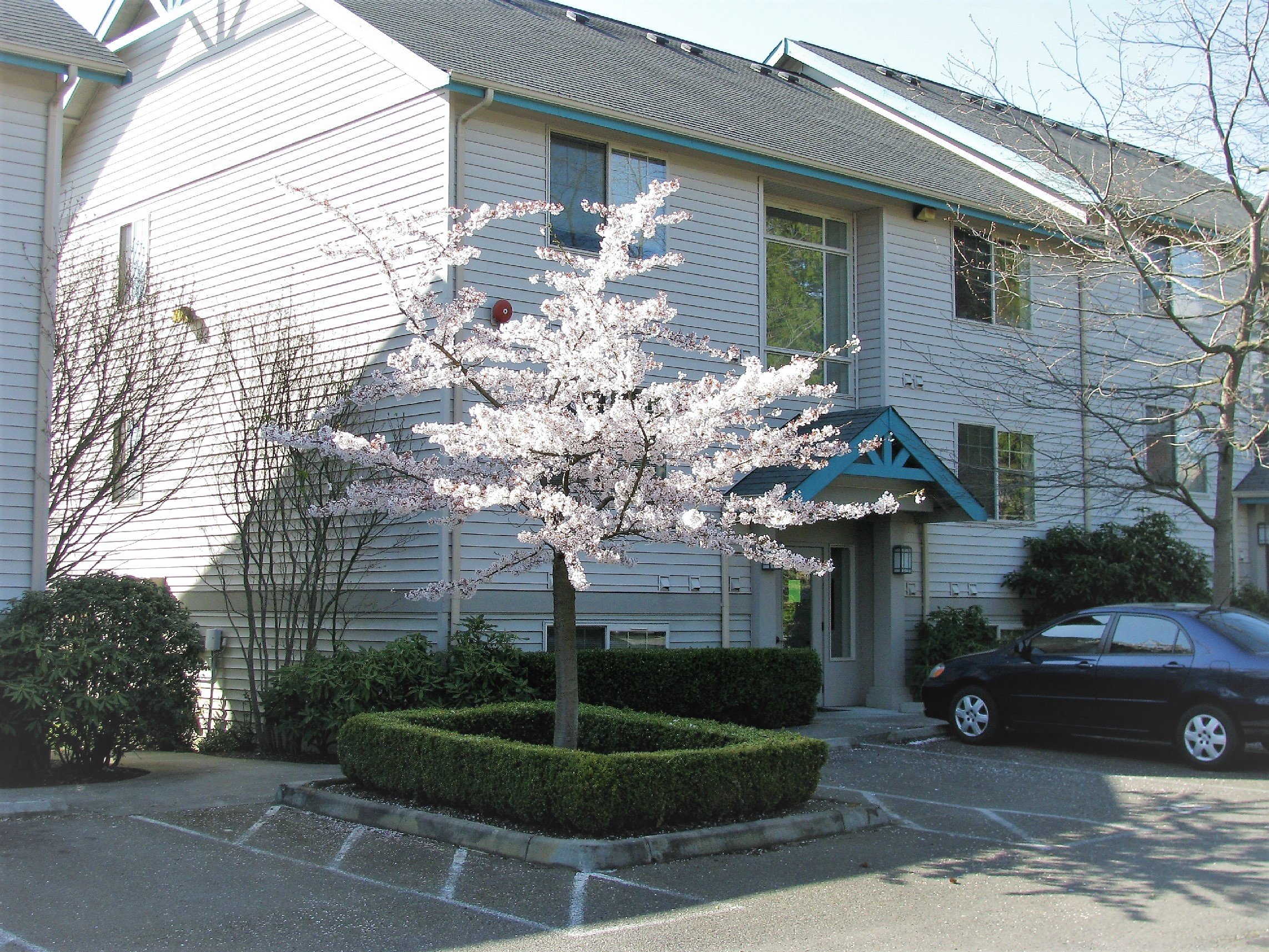 Craigslist Houses For Rent In Burien 16 - 2cesm54