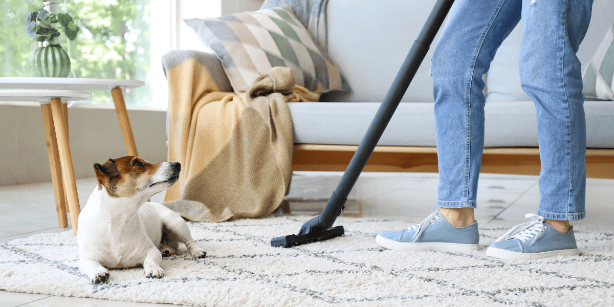 Pet Renting Evaluating the Impact of Pet Policies on Seattle Real Estate Investments