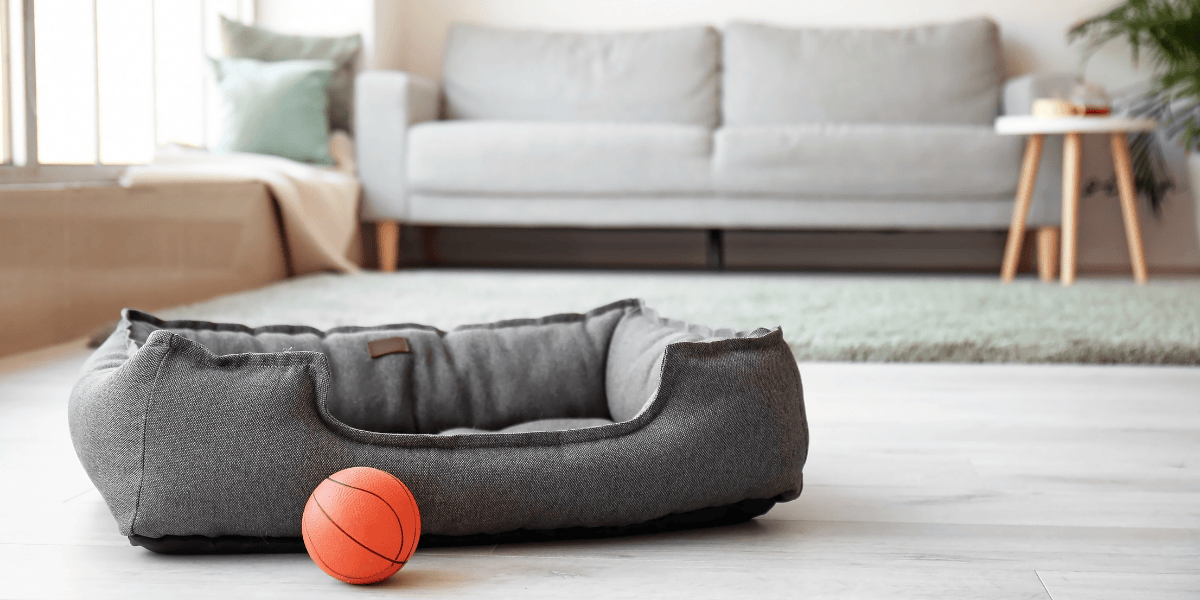 Pet Renting: Evaluating the Impact of Pet Policies on Seattle Real Estate Investments