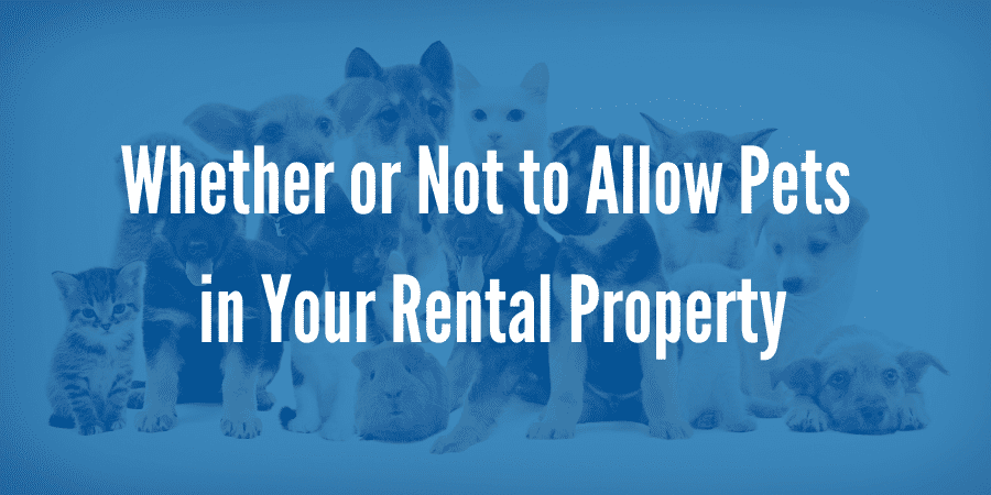 Pet Renting: Deciding Whether to Allow Pets in Your Seattle Rental