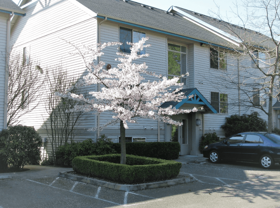 Multi-Family Unit Building Apartments for Rent in Burien WA